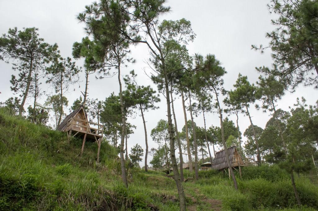 Papandayan Camping Ground Hotel Cileuleuy ภายนอก รูปภาพ