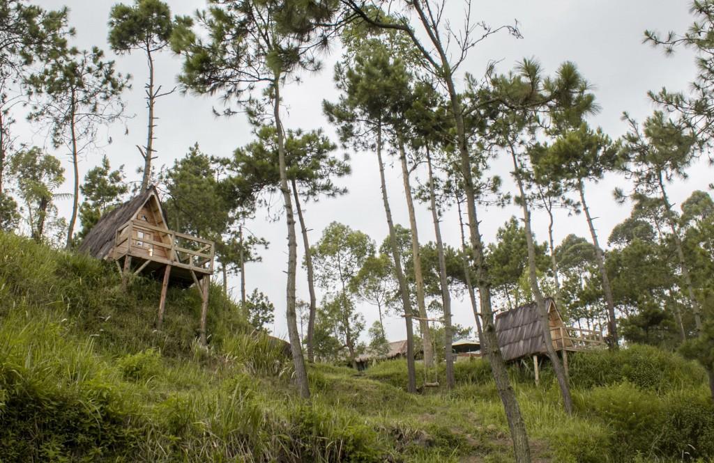Papandayan Camping Ground Hotel Cileuleuy ภายนอก รูปภาพ