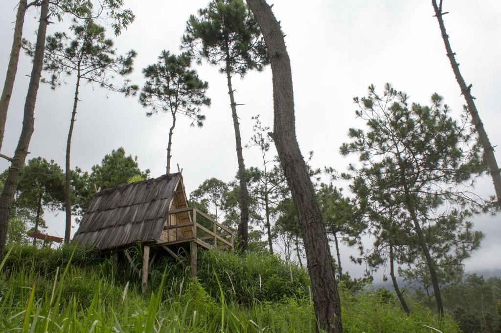 Papandayan Camping Ground Hotel Cileuleuy ภายนอก รูปภาพ