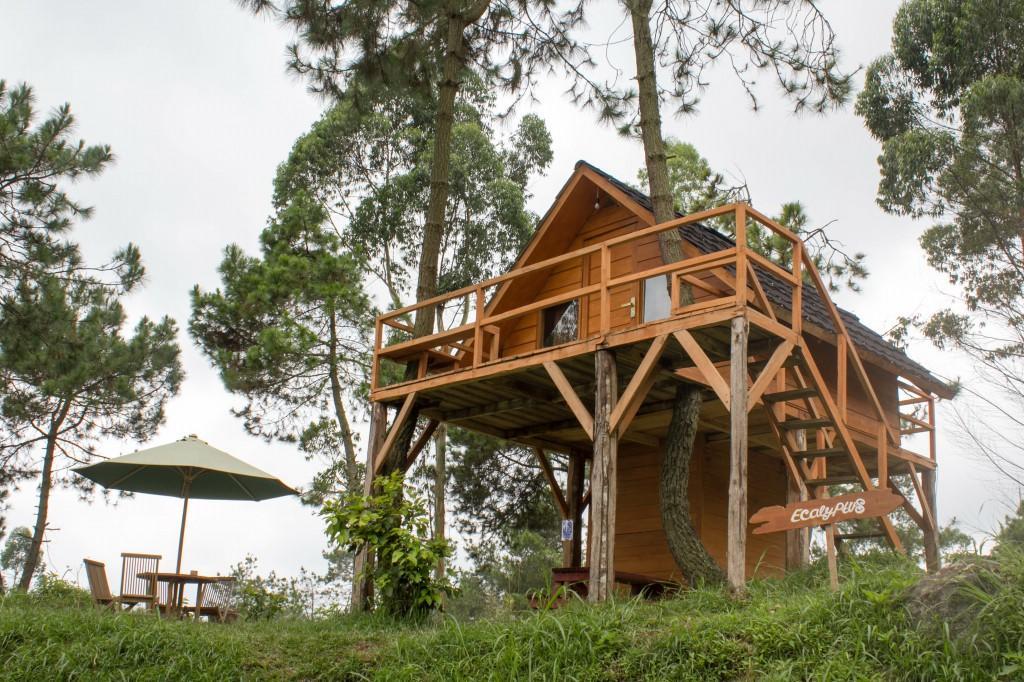 Papandayan Camping Ground Hotel Cileuleuy ภายนอก รูปภาพ