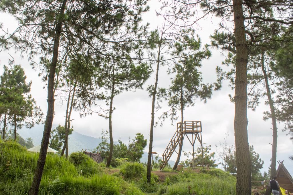 Papandayan Camping Ground Hotel Cileuleuy ภายนอก รูปภาพ