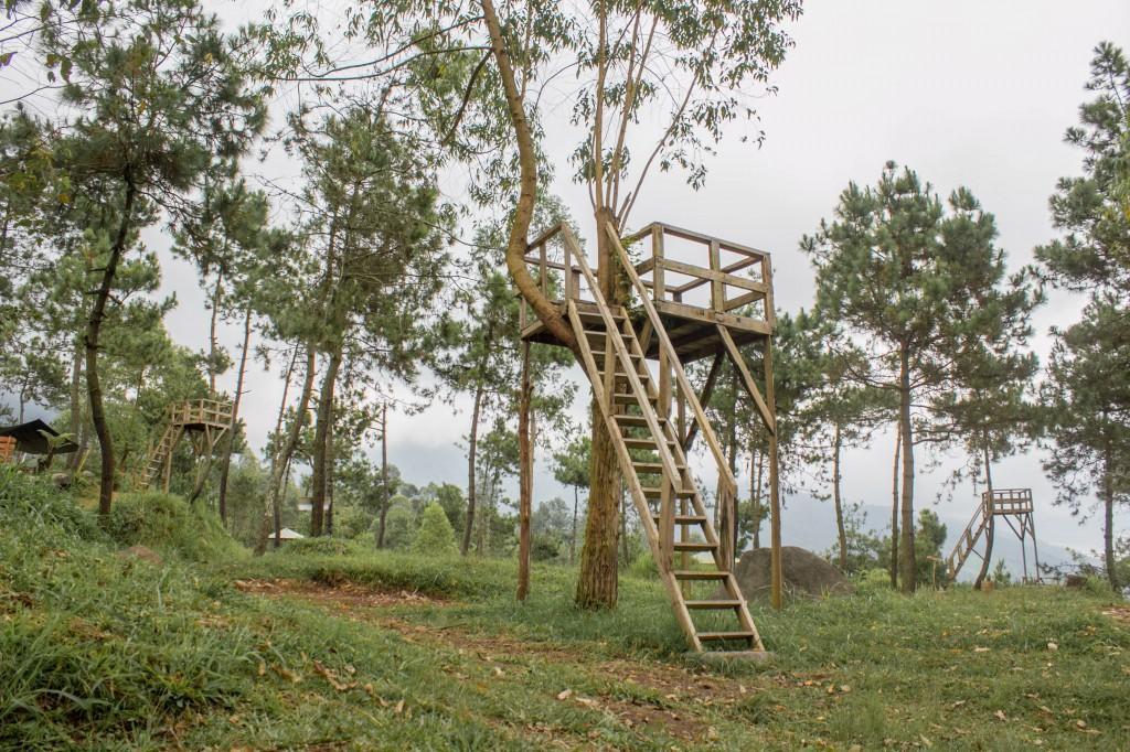 Papandayan Camping Ground Hotel Cileuleuy ภายนอก รูปภาพ
