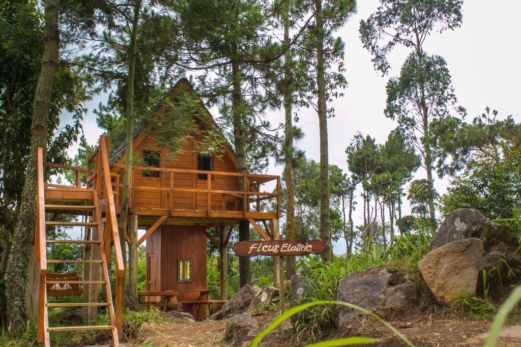 Papandayan Camping Ground Hotel Cileuleuy ภายนอก รูปภาพ