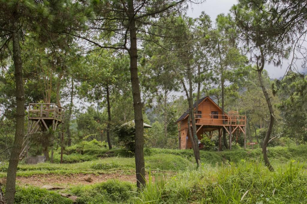 Papandayan Camping Ground Hotel Cileuleuy ภายนอก รูปภาพ
