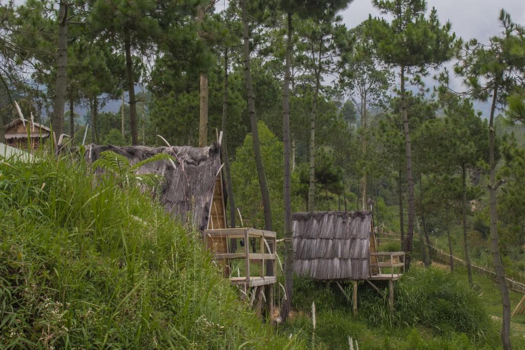 Papandayan Camping Ground Hotel Cileuleuy ภายนอก รูปภาพ