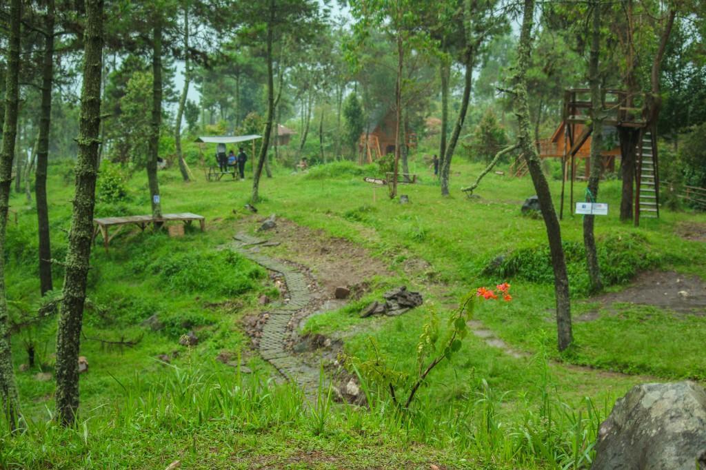 Papandayan Camping Ground Hotel Cileuleuy ภายนอก รูปภาพ